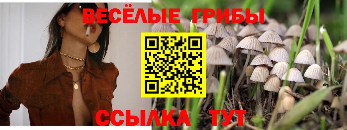Галлюциногенные грибы прущие грибы Сердобск